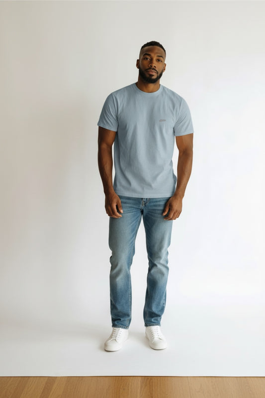 Men's Blue Regular fit tees