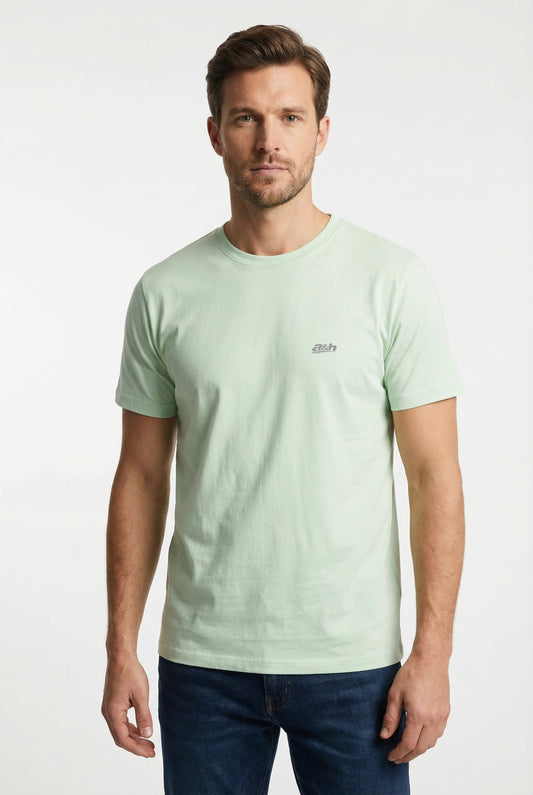 Men's Cotton Green Regular fit tees